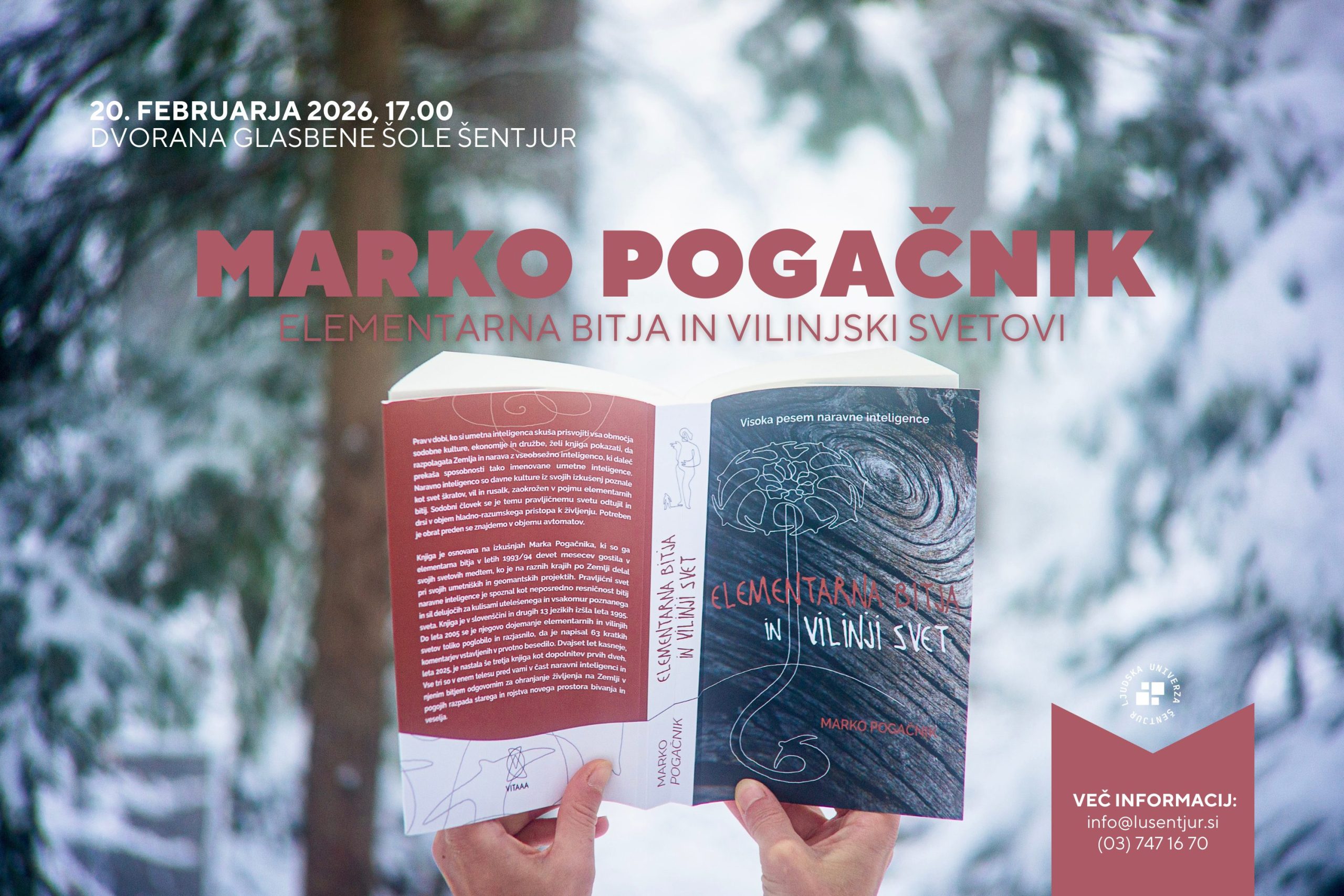 Vabila_Spletna stran_objava